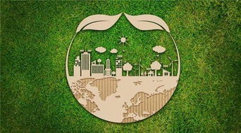 環(huán)保家裝不是噱頭,別等 中毒 了才后悔