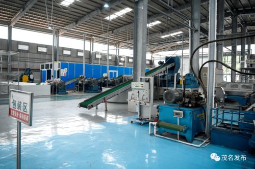 莊悅群調研茂名農墾工作 推動墾地在新發展階段深度融合發展