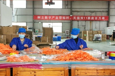 開門紅!天貓雙11首日產業帶&ldquo;廠貨&rdquo;成交額是去年17倍!